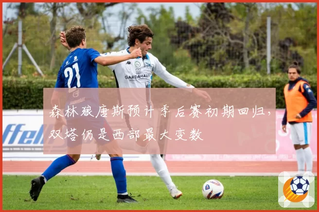 森林狼唐斯预计季后赛初期回归，双塔仍是西部最大变数