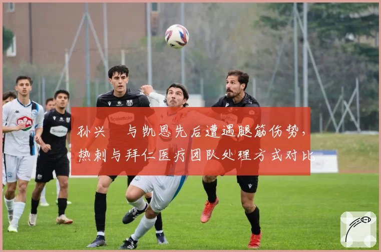 孙兴慜与凯恩先后遭遇腿筋伤势,热刺与拜仁医疗团队处理方式对比