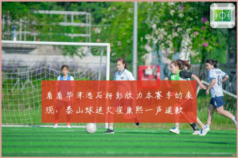 看看毕津浩石柯彭欣力本赛季的表现，泰山球迷欠崔康熙一声道歉