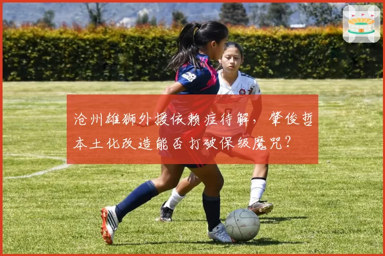 沧州雄狮外援依赖症待解,肇俊哲本土化改造能否打破保级魔咒?