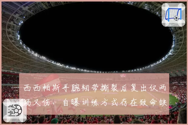 西西帕斯手腕韧带撕裂后复出仅两场又伤，自曝训练方式存在致命缺陷