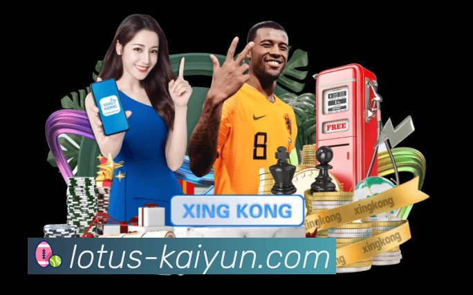 开云站内搜索增强